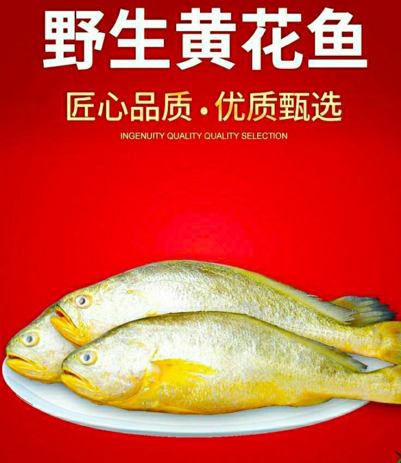 黄花鱼新鲜小黄花鱼海鲜水产新鲜营养美味6斤1件包