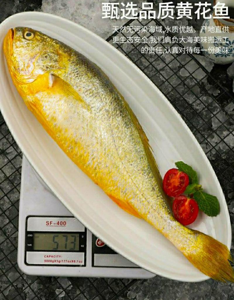 黄花鱼新鲜小黄花鱼海鲜水产新鲜营养美味6斤1件包