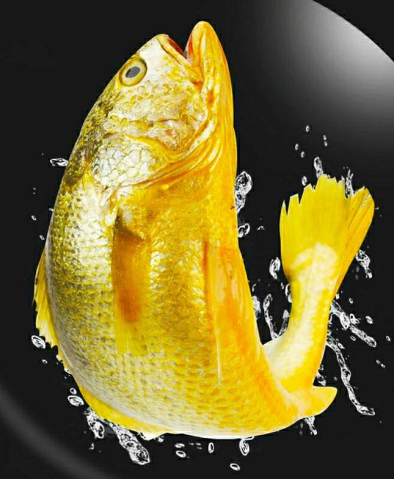 黄花鱼新鲜小黄花鱼海鲜水产新鲜营养美味6斤1件包