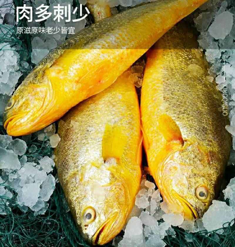 黄花鱼新鲜小黄花鱼海鲜水产新鲜营养美味6斤1件包