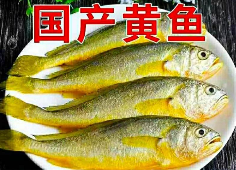 黄花鱼新鲜小黄花鱼海鲜水产新鲜营养美味6斤1件包