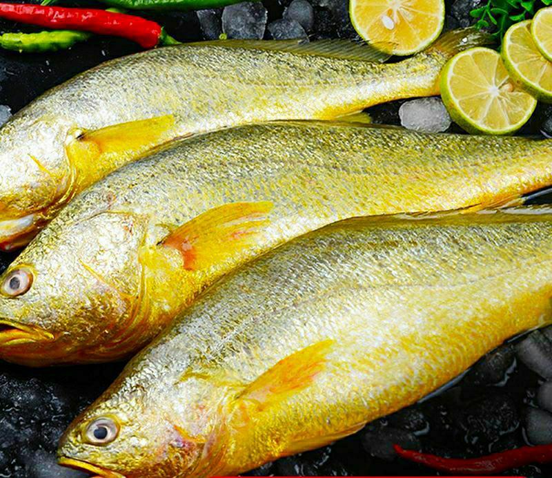 黄花鱼新鲜小黄花鱼海鲜水产新鲜营养美味6斤1件包