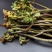 野生盐渍蕨菜蕨菜干量大包邮
