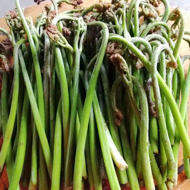 野生盐渍蕨菜蕨菜干量大包邮