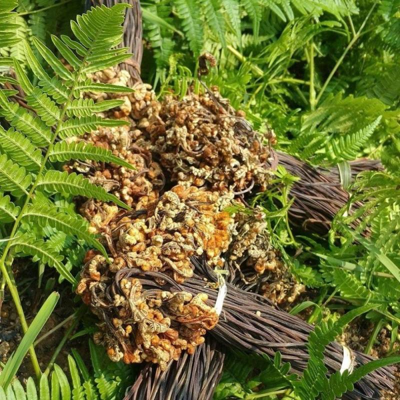 野生盐渍蕨菜蕨菜干量大包邮