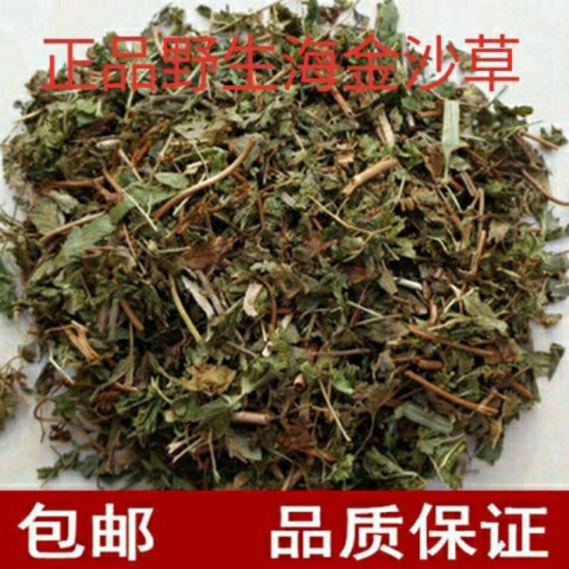 金沙藤海金沙藤产地直好量大优惠产地