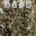 金沙藤海金沙藤产地直好量大优惠产地