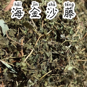 金沙藤海金沙藤产地直好量大优惠产地