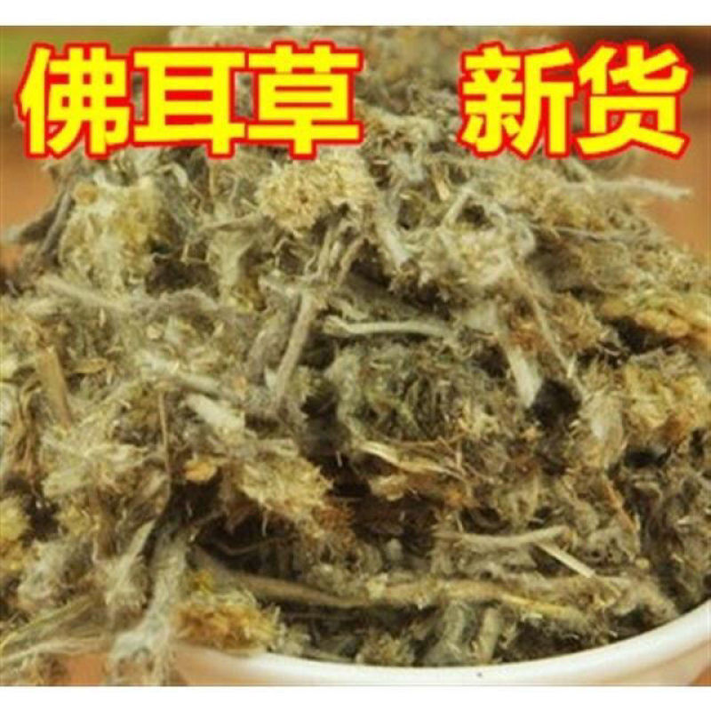 鼠曲草佛耳草产地广西量大货好一公斤起售