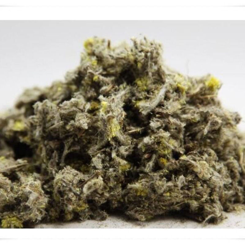 鼠曲草佛耳草产地广西量大货好一公斤起售