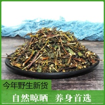 鬼针草扎人草产地山东量大优惠代抓各种药方