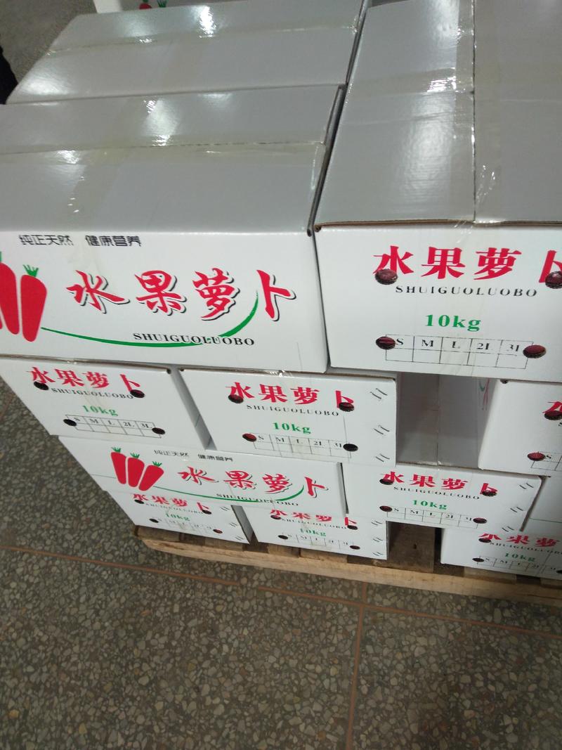 陕西大荔精品称杆红胡萝卜带土，水洗，各种档次大量供应中