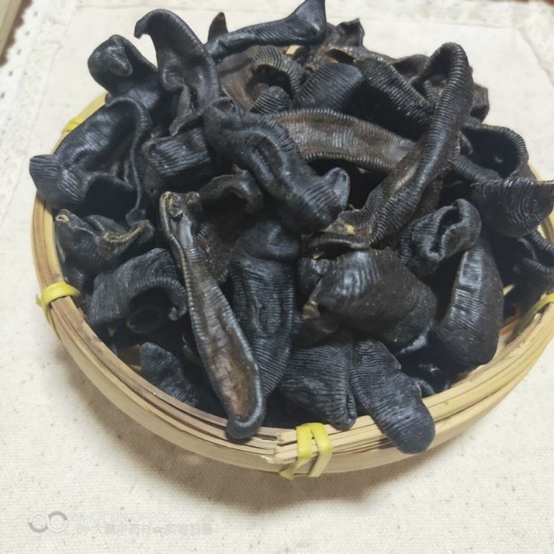 水蛭产地山东产地销量大货好不满意可以退换货