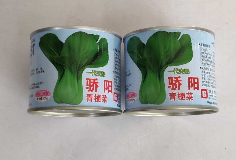 德高骄阳青梗菜种子极早熟耐热耐湿抗病叶柄宽淡绿色