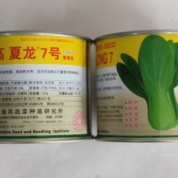 德高夏龙7号青梗菜种子耐热耐雨耐湿丰产