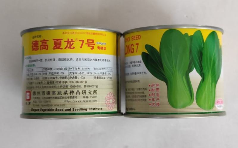 德高夏龙7号青梗菜种子耐热耐雨耐湿丰产