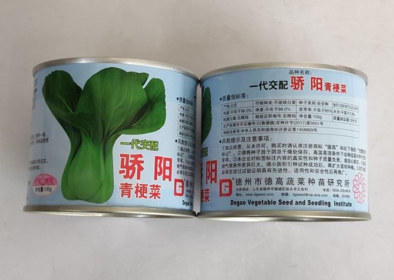 德高骄阳青梗菜种子极早熟耐热耐湿抗病叶柄宽淡绿色