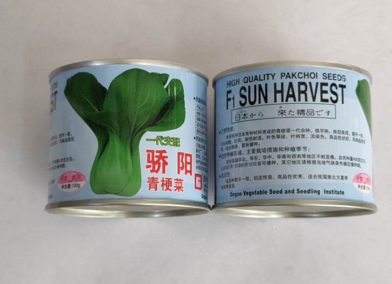 德高骄阳青梗菜种子极早熟耐热耐湿抗病叶柄宽淡绿色