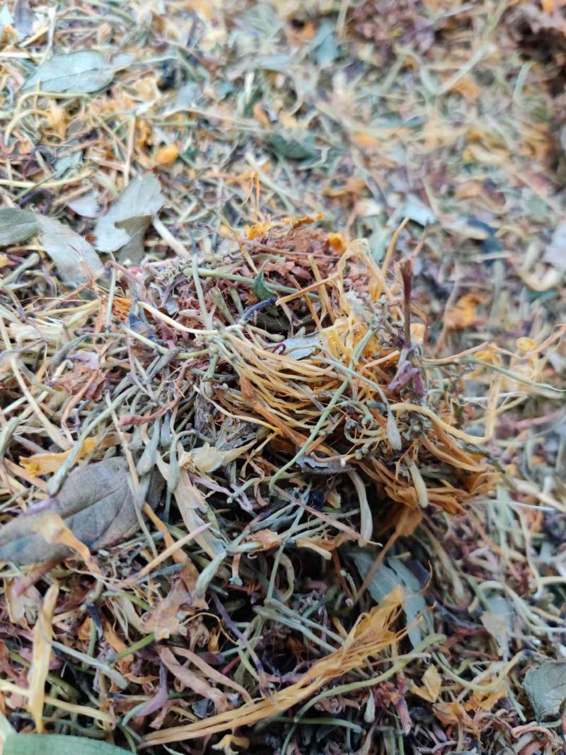 野生金银花碎，，可用作食品加工，味道一样香，请直接电话联