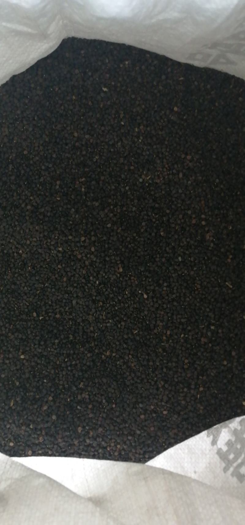 曼陀罗种子。辽宁产。籽粒饱满。颜色纯黑质量杠杠的