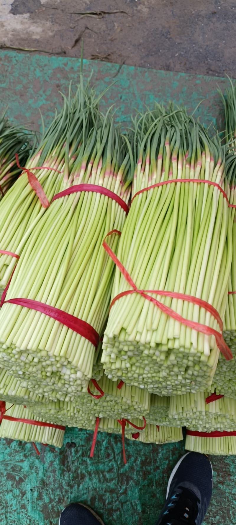 红帽蒜薹，大量上市，