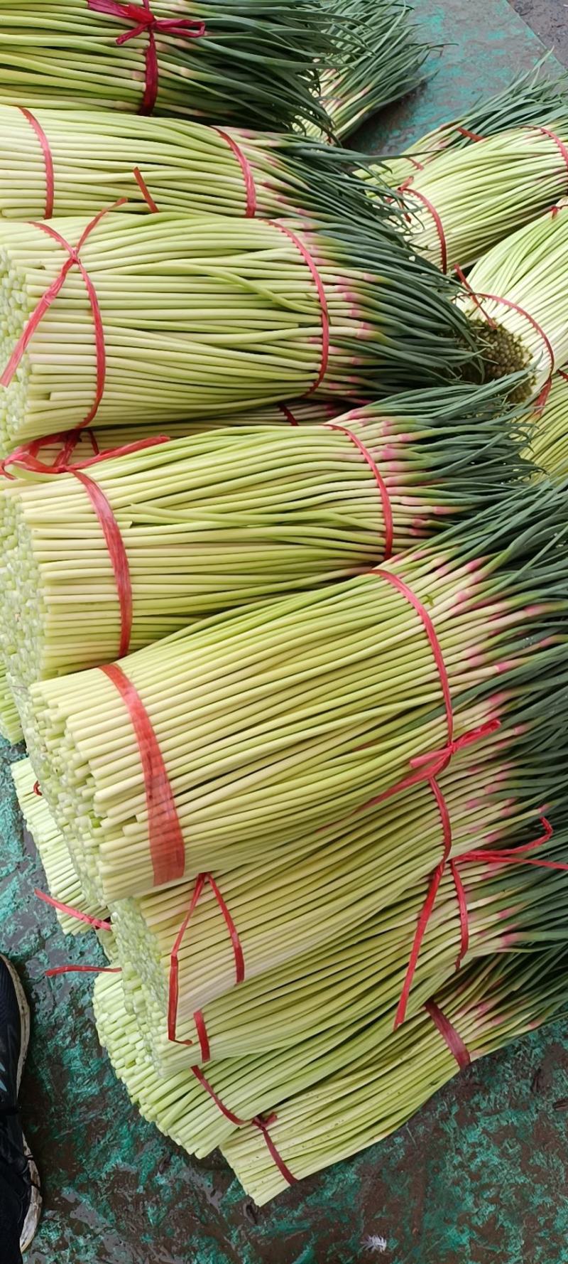 红帽蒜薹，大量上市，