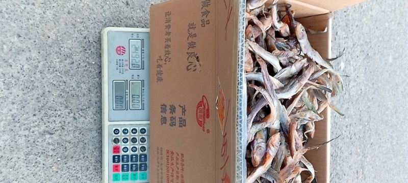 精品特级狗光鱼油光鱼咸鱼干鱼干傻瓜鱼渤海特产产地直发质量