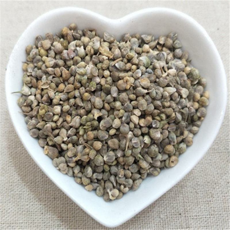 药用菠菜子药用菠菜子不生芽货源不多