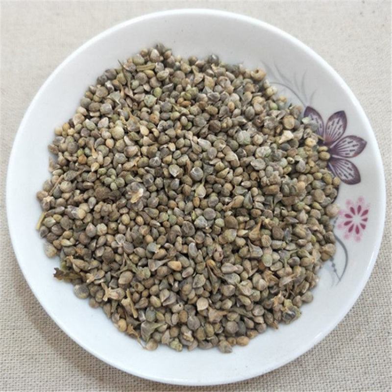 药用菠菜子药用菠菜子不生芽货源不多
