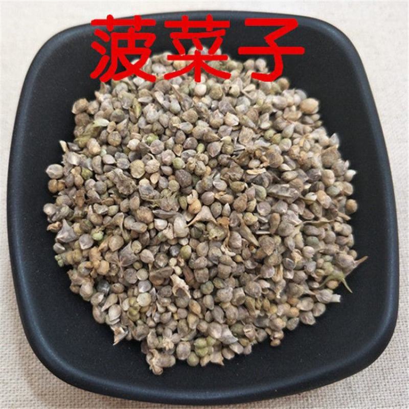 药用菠菜子药用菠菜子不生芽货源不多