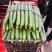 🔥蜜刺黄瓜🥒万亩基地货源充足