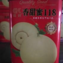 香甜蜜118甜瓜，座果性好丰产好抗性好实苹果型含糖量最高