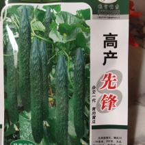 黄瓜种子，杂交一代，青肉黄瓜，瓜顺直端长，皮深绿，