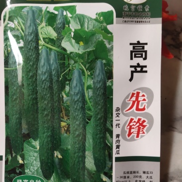 黄瓜种子，杂交一代，青肉黄瓜，瓜顺直端长，皮深绿，