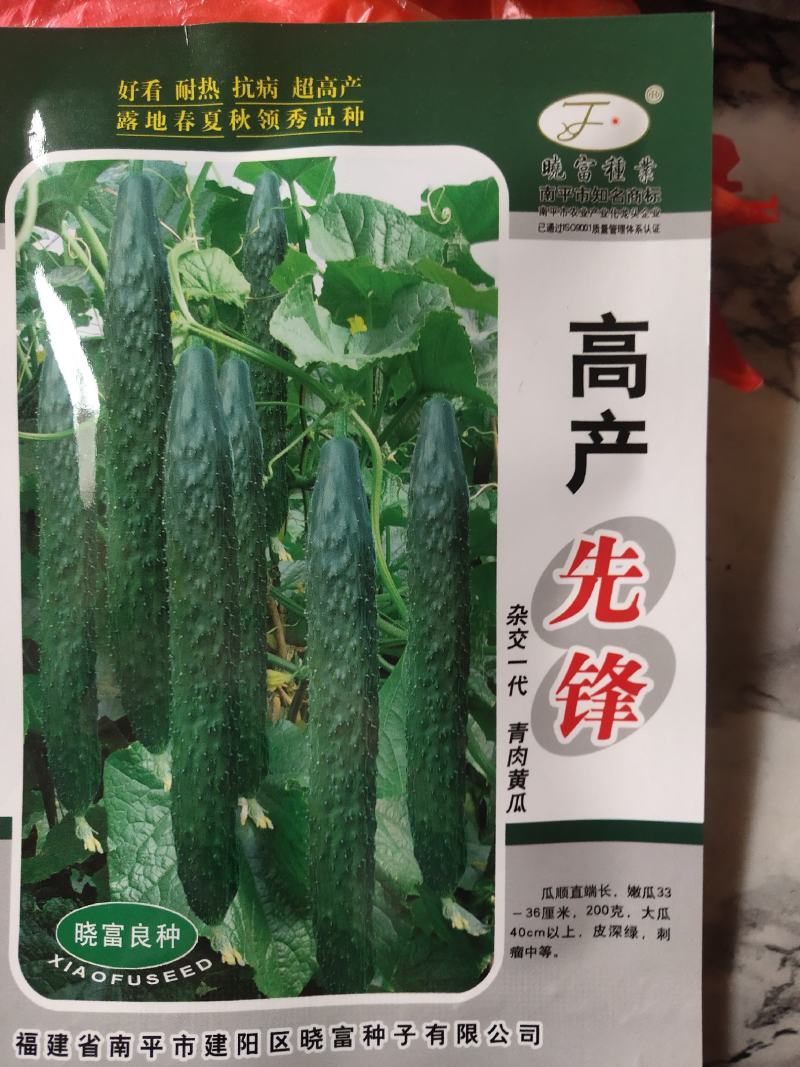 黄瓜种子，杂交一代，青肉黄瓜，瓜顺直端长，皮深绿，