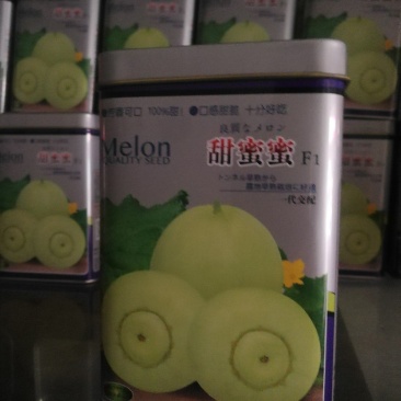 甜蜜蜜甜瓜，本品种从曰本引进原种早熟果实为圆球型瓜底凸出