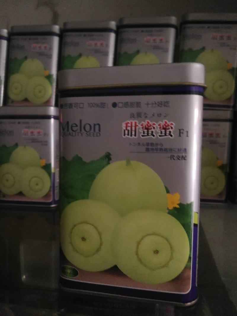 甜蜜蜜甜瓜，本品种从曰本引进原种早熟果实为圆球型瓜底凸出