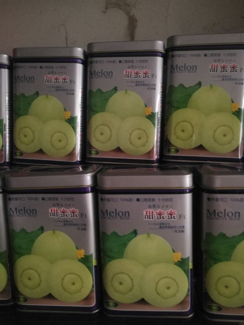 甜蜜蜜甜瓜，本品种从曰本引进原种早熟果实为圆球型瓜底凸出