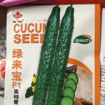 绿来宝黄瓜种子高档青瓜，