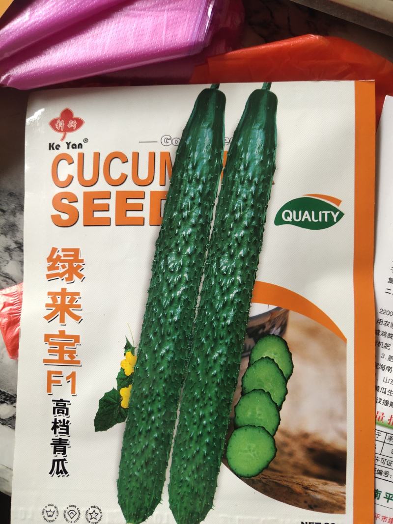 绿来宝黄瓜种子高档青瓜，