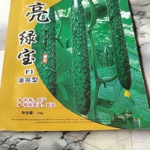 亮绿宝，杂交一代早熟品种，长势强，瓜码密，特抗高温高湿