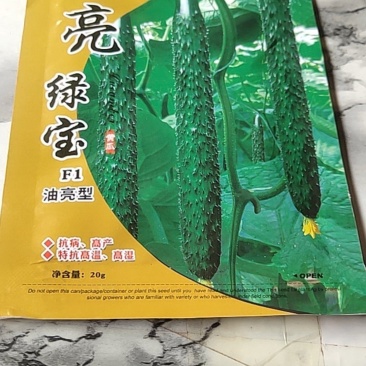亮绿宝，杂交一代早熟品种，长势强，瓜码密，特抗高温高湿