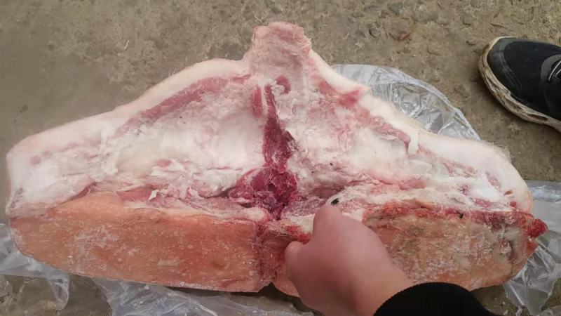 冻猪肉槽头，价格便宜欢迎抢购经济实惠实物拍摄