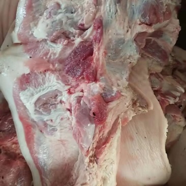 冻猪肉槽头，价格便宜欢迎抢购经济实惠实物拍摄