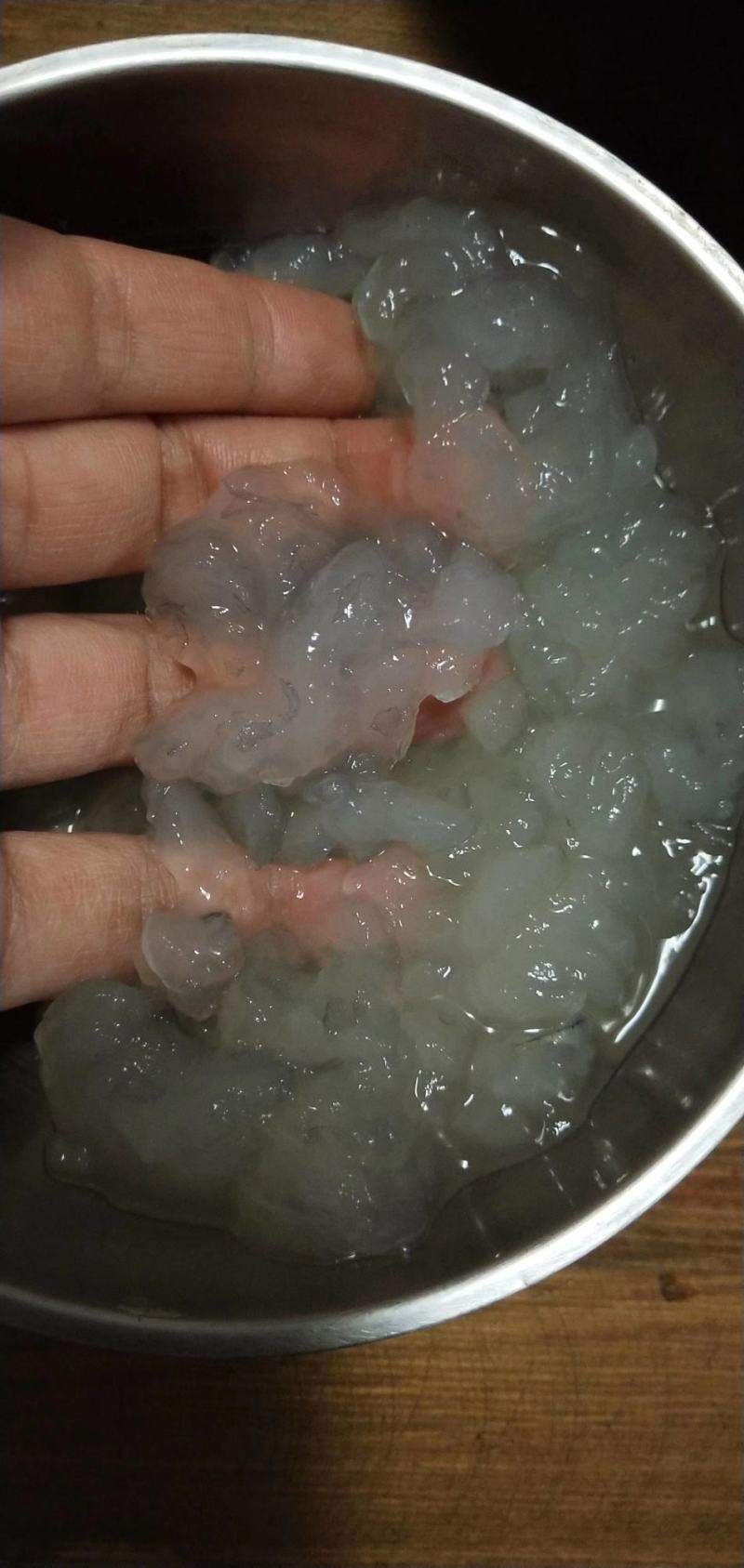 东北野生林蛙油雪蛤哈莫油