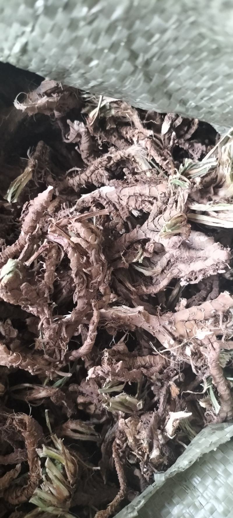 高山纯野生高海拔高含量石菖蒲天然无污染全干新货