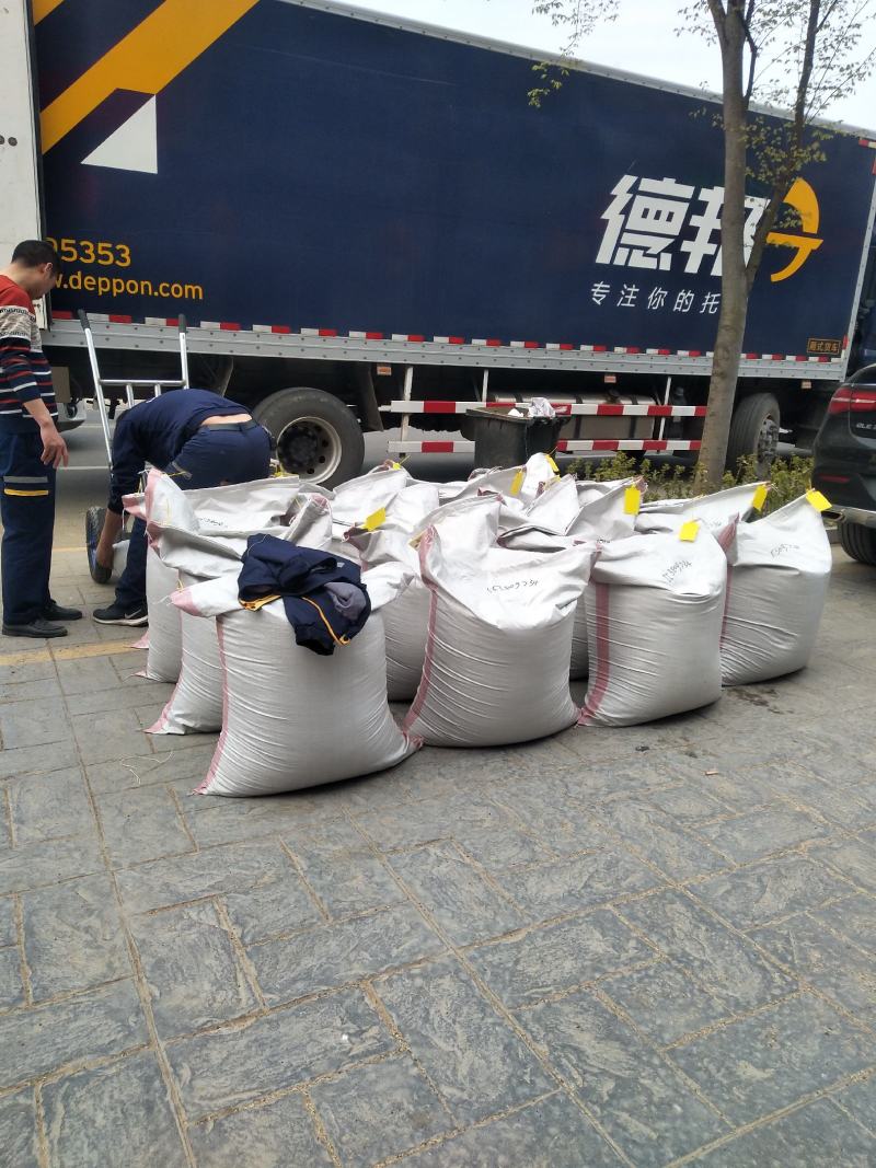抗寒抗旱四季青多年生草坪种子草皮价格公布