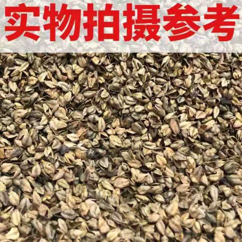 荞麦壳苦荞壳枕头枕芯高温杀菌免洗荞麦壳全国一手货源