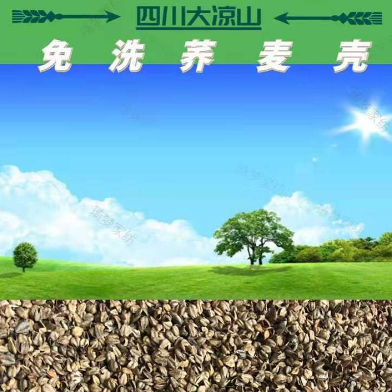 荞麦壳苦荞壳枕头枕芯高温杀菌免洗荞麦壳全国一手货源