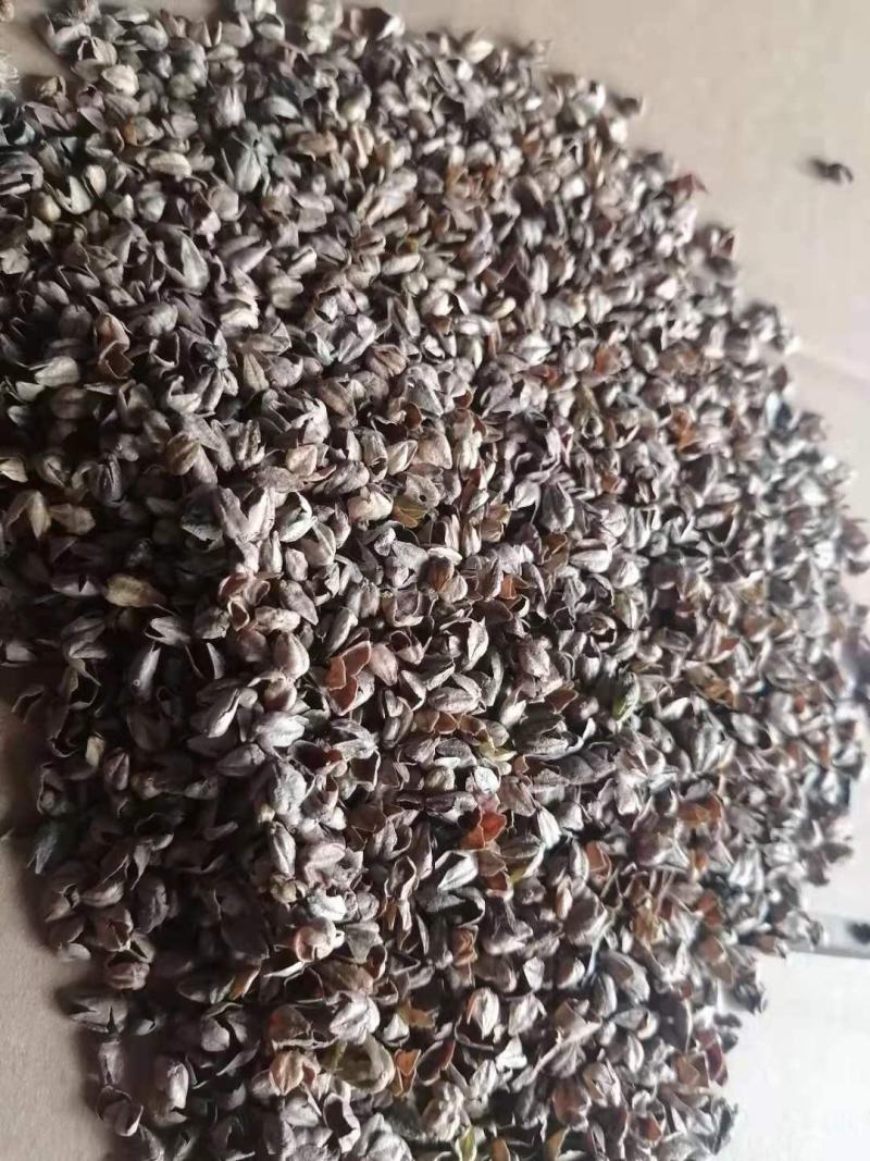 荞麦壳苦荞壳枕头枕芯高温杀菌免洗荞麦壳全国一手货源